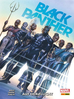 cover image of BLACK PANTHER 2--AUF DER FLUCHT